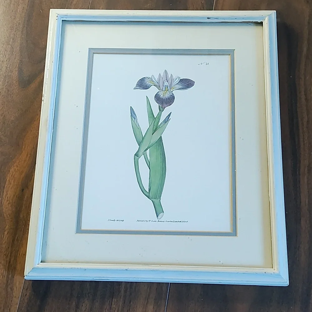 Orchid Botanical Framed Print